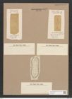 Surirella manca Janisch (de-Toni-Nr.: Genus 53, Species 2366) Zeichnungen Sammlung Grunow Nr. 4772 (NHMW-BOT-W0372897)